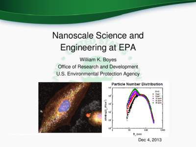 Nanoscale Science and Engineering at EPA William K. Boyes Office of Research and Development U.S. Environmental Protection Agency