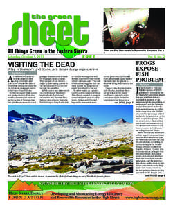 sheet the green PHOTO: PELLEGRINI  All Things Green in the Eastern Sierra