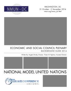 National Model United Nations / United Nations Department of Economic and Social Affairs / Consultative Status / Least developed country / United Nations International Research and Training Institute for the Advancement of Women / United Nations / Development / United Nations Economic and Social Council