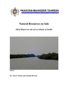 Bundal Island / Buddo Island / Port Qasim / Emaar Properties / Karachi / Korangi / Mangrove / Sindh / Indus River Delta / Geography of Pakistan / Administrative units of Pakistan / Geography of Sindh