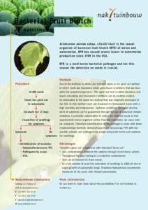 Bacterial Fruit Blotch of (water)melon Acidovorax avenae subsp. citrulli (Aac) is the causal organism of bacterial fruit blotch (BFB) of melon and watermelon. BFB has caused severe losses in watermelon production since 1