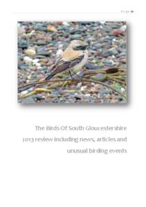 P a g e |0  The Birds Of South Gloucestershire 2013 review including news, articles and unusual birding events
