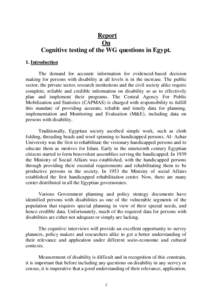 Report On Cognitive Testing of the WG Questions in Egypt