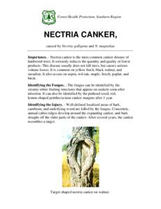 Forest Health Protection, Southern Region  NECTRIA CANKER, caused by Nectria galligena and N. magnoliae Importance. - Nectria canker is the most common canker disease of hardwood trees. It seriously reduces the quantity 