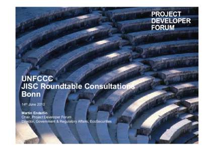 UNFCCC JISC Roundtable Consultations Bonn 14th June 2010 Martin Enderlin Chair, Project Developer Forum