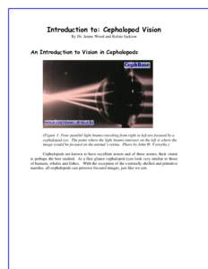 Introduction to: Cephalopod Vision By Dr. James Wood and Kelsie Jackson An Introduction to Vision in Cephalopods  (Figure 1: Four parallel light beams traveling from right to left are focused by a