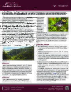 Scientific evaluation of the Golden-cheeked Warbler The golden-cheeked warbler (Dendroica chrysoparia) is a small, neotropical migratory songbird that breeds in central Texas and winters in southern Mexico and Central Am