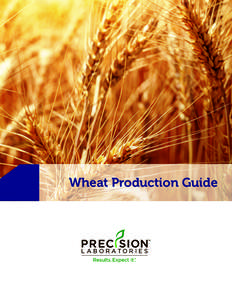 Precision Wheat Guide.indd