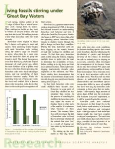 L  iving fossils stirring under Great Bay Waters  Research