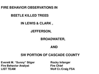 FIRE BEHAVIOR OBSERVATIONS IN BEETLE KILLED TREES IN LEWIS & CLARK , JEFFERSON, BROADWATER,