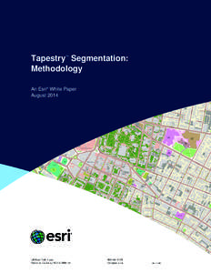 J9941 Tapestry Segmentation Methodology