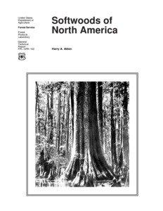 Softwoods of North America.