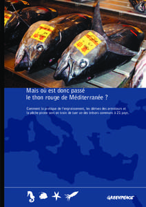 Mais où est donc passé le thon rouge de Méditerranée ? Comment la pratique de l’engraissement, les dérives des armateurs et la pêche pirate sont en train de tuer un des trésors communs à 21 pays.  Mais où es