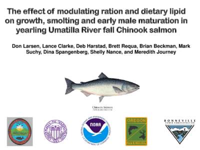 The effect of modulating ration and dietary lipid on growth, smolting and early male maturation in yearling Umatilla River fall Chinook salmon Don Larsen, Lance Clarke, Deb Harstad, Brett Requa, Brian Beckman, Mark Suchy