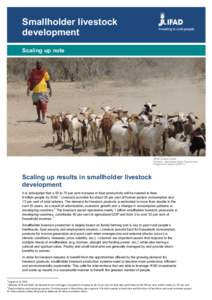 Smallholder livestock development Scaling up note ©IFAD/Joanne Levitan Tanzania - Agricultural Sector Development