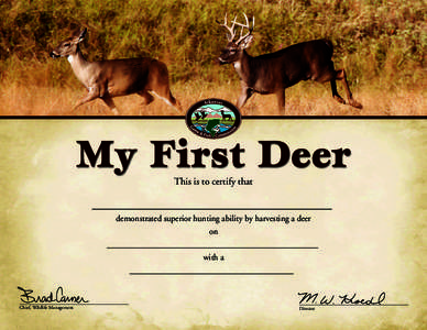 My First Deer c=85 m=19 y=0 k=0 c=57 m=80 y=100 k=45  c=20 m=0 y=40 k=6