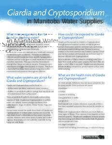 Giardia and Cryptosporidium 			 in Manitoba Water Supplies What micro-organisms can be found in drinking water?  How could I be exposed to Giardia