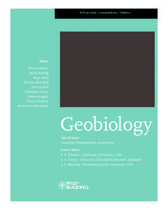 Anaerobic photosynthetic ecosystems