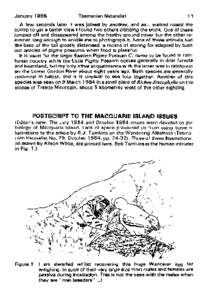 Richea / C. nanus / Macquarie Island / Nest / Bird nest / Zoology / Biology / Possum