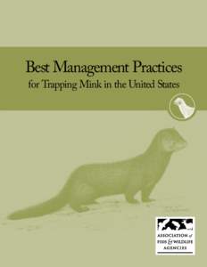 Best Management Practices for Trapping Mink in the United States Best Management Practices (BMPs) are carefully researched educational guides designed to address animal welfare and increase trappers’ efficiency and se