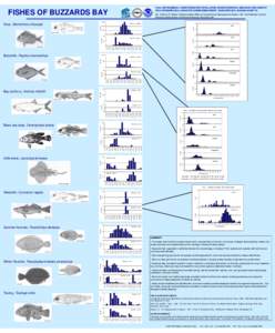 From: INTRAANNUAL VARIATION IN FISH POPULATION CHARACTERISTICS AND SEAFLOOR HABITAT RELATIONSHIPS IN A LARGE ESTUARINE EMBAYMENT: BUZZARDS BAY, MASSACHUSETTS FISHES OF BUZZARDS BAY  By Anthony R. Wilbur, Massachusetts Of