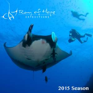 2015 Season  manta ray expeditions to the wildest places on earth Andrea Marshall is a world-renowned expert on manta rays and the director for the Marine Megafauna Foundation, a non-profit organization that spearheads