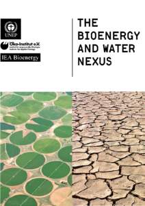 The Bioenergy and Water Nexus  Acknowledgements The lead authors of this report are Shabbir Gheewala (JGSEE, Thailand – Chapter 1), Sonia Yeh (University of California, Davis, USA –