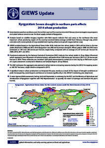 8 August[removed]GIEWS Update Kyrgyzstan: Severe drought in northern parts affects 2014 wheat production