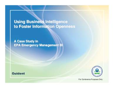 Using Business Intelligence to Foster Information Openness: A Case Study in EPA Emergency Management BI