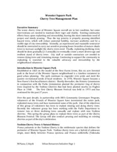 Wooster	
  Square	
  Park	
   	
  Cherry	
  Tree	
  Management	
  Plan	
   	
     Executive	
  Summary	
  