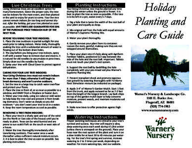 Live Christmas Trees  Planting Instructions Living Christmas trees are an excellent option for many homeowners. Given the proper care, the tree