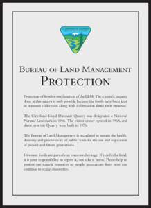 Bureau of Land Management  Protection Protection of fossils is one function of the BLM. The scientific inquiry done at this quarry is only possible because the fossils have been kept