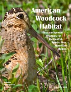 Executive Summary  American Woodcock Habitat
