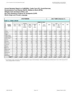 Annual Recipient Report on CalWORKs, Foster Care (FC), Social Services, Nonassistance Food Stamps (NAFS), Welfare to Work (WTW), Refugee Cash Assistance (RCA), and the Cash Assistance Program for Immigrants (CAPI) Ethnic