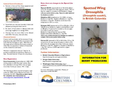 Spotted Wing Drosophila (Drosophila suzukii) in British Columbia - Information for Berry Producers