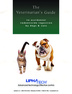 The Veterinarian’s Guide to accidental