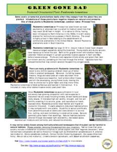 Green Gone Bad  Featured Ornamental Plant: Paulownia tomentosa Some exotic ornamental plants behave badly when they escape from the place they are planted. Infestations of these plants have negative impacts on natural en