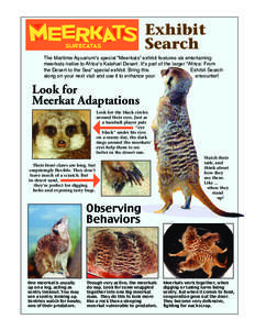 Exhibit Search The Maritime Aquarium’s special “Meerkats” exhibit features six entertaining meerkats native to Africa’s Kalahari Desert. It’s part of the larger “Africa: From the Desert to the Sea” spec