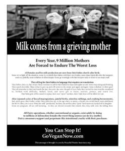 Every Year, 9 Million Mothers Are Forced to Endure The Worst Loss All females used for milk production are torn from their babies shortly after birth. Some try to fight off the attackers, some try to shield their babies 