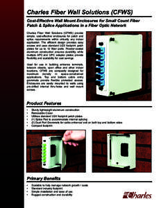 Optical fiber / Ethernet over twisted pair / Technology