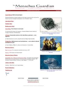 Vol. 5 / No. 2  Published by Friends of the Monk Seal November 2002