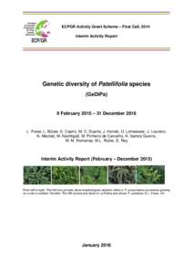 ECPGR Activity Grant Scheme – First Call, 2014 Interim Activity Report Genetic diversity of Patellifolia species (GeDiPa)