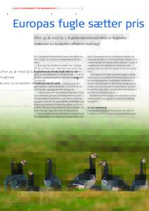 ❙ EU’S FUGLEBESKYTTELSESDIREKTIV ❙ AF CARSTEN ENGEDAL ❙  Europas fugle sætter pris Efter 25 år med EU’s fuglebeskyttelsesdirektiv er fuglenes trækruter nu beskyttet effektivt mod jagt.