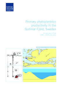 Primary phytoplankton productivity in the Gullmar Fjord, Sweden