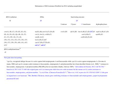 Streptogramin A / Lincosamides / Streptogramin / Video Graphics Array / Depsipeptides / Antibiotics / Macrolide antibiotics / Oxazoles