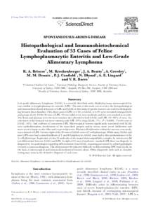 Histopathological and Immunohistochemical Evaluation of 53 Cases of Feline Lymphoplasmacytic Enteritis and Low-Grade Alimentary Lymphoma