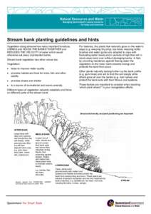 Stream bank planting guidelines and hints