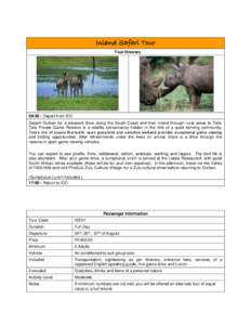 Indian Ocean / Wildebeest / Hippopotamus / Fauna of Africa / Durban / EThekwini Metropolitan Municipality