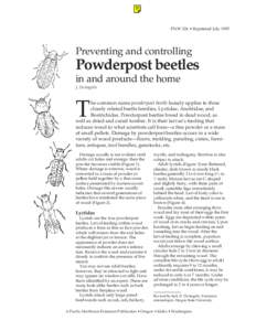 PNW 326 • Reprinted July[removed]Preventing and controlling Powderpost beetles in and around the home