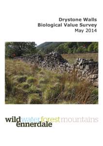 Drystone Walls Biological Value Survey May 2014 Gillerthwaite Fields Drystone Walls
